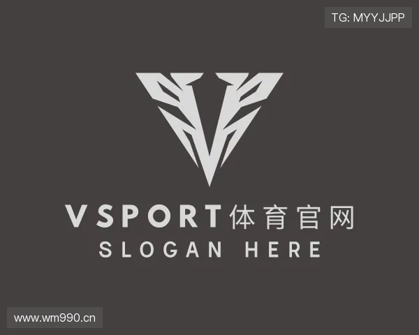 发现VSPORTS胜利因您更精彩